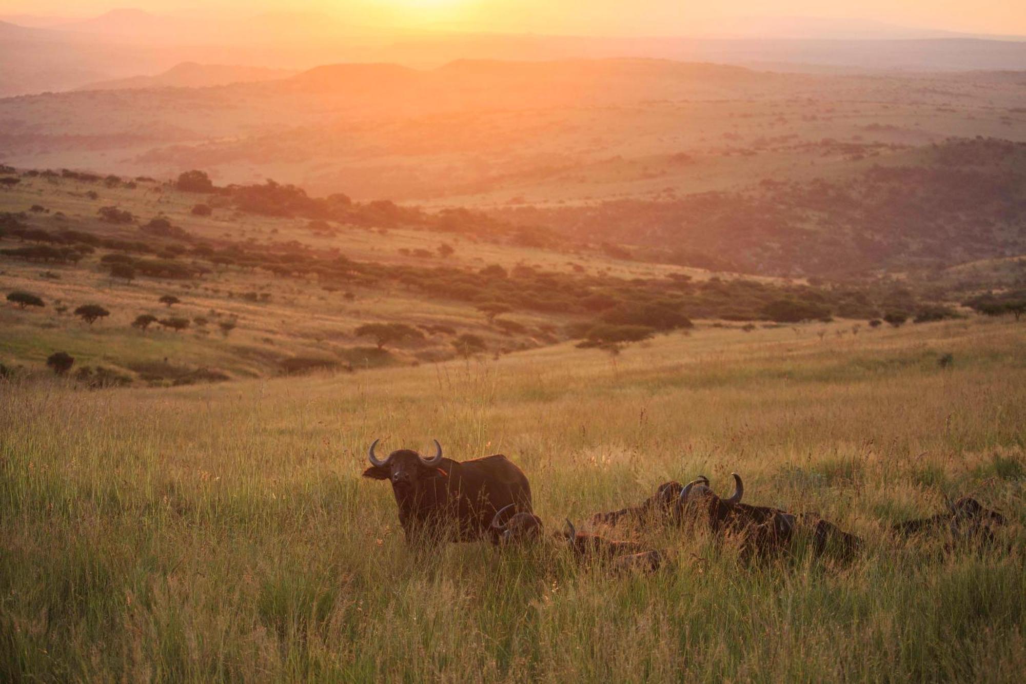 Valley Lodge - Babanango Game Reserve Dundee Luaran gambar